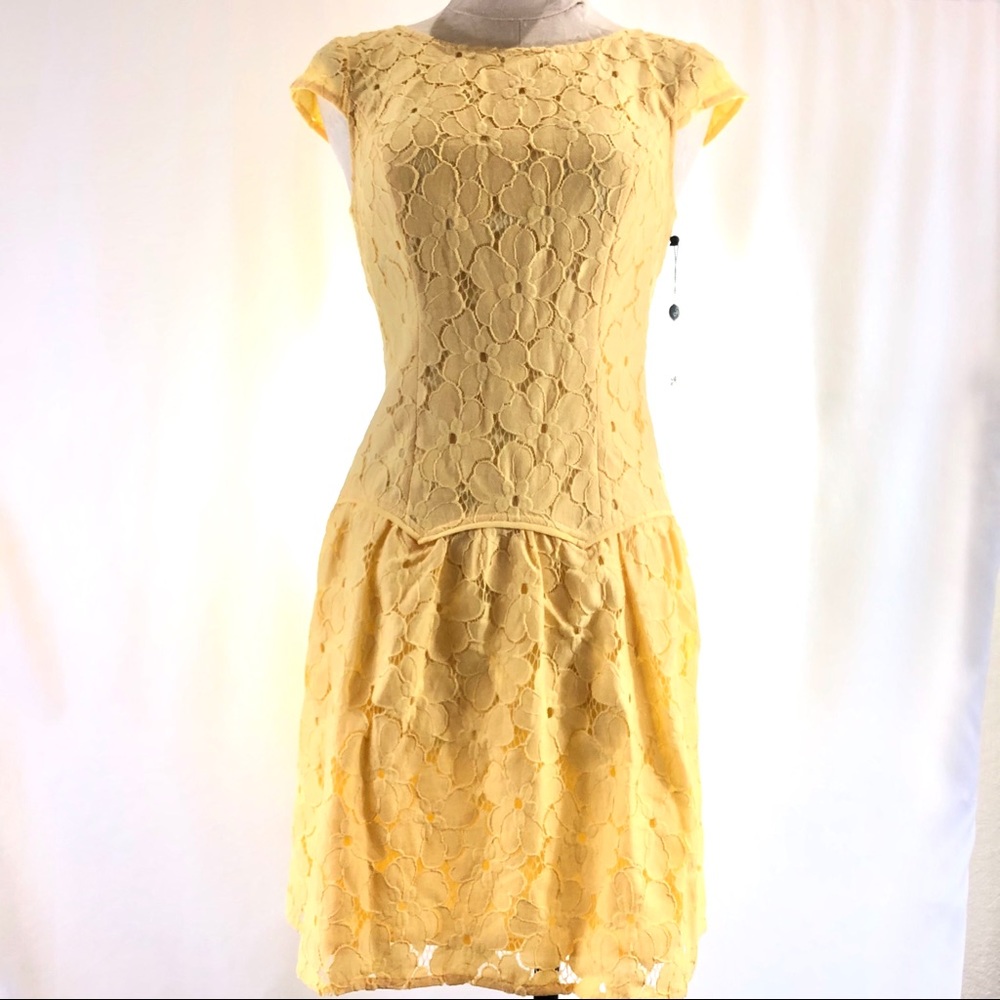 Adriana Papell  Lace Drop Waist Dress New! - Picture 3 of 5